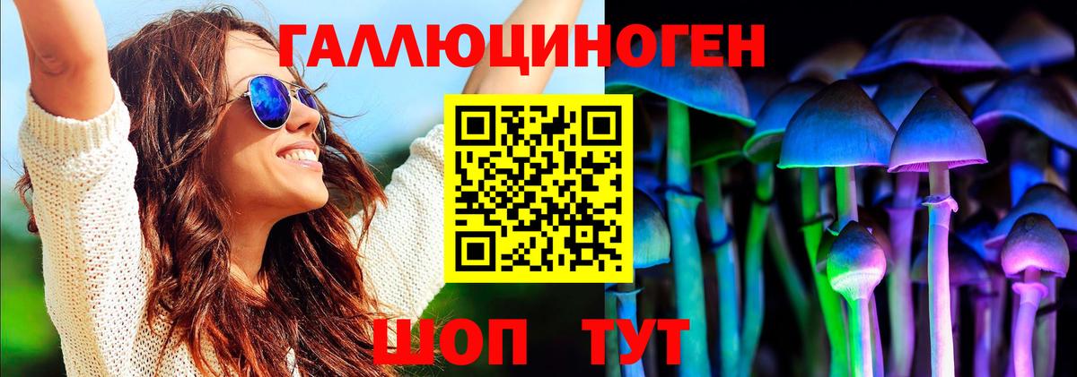 Псилоцибиновые грибы мицелий Гатчина