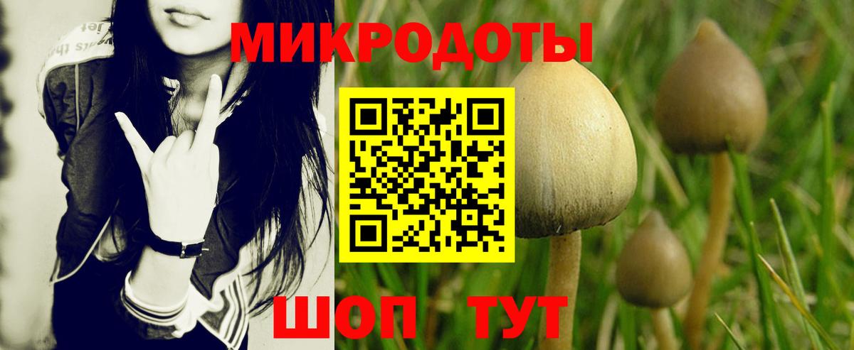  Кокаин Гатчина