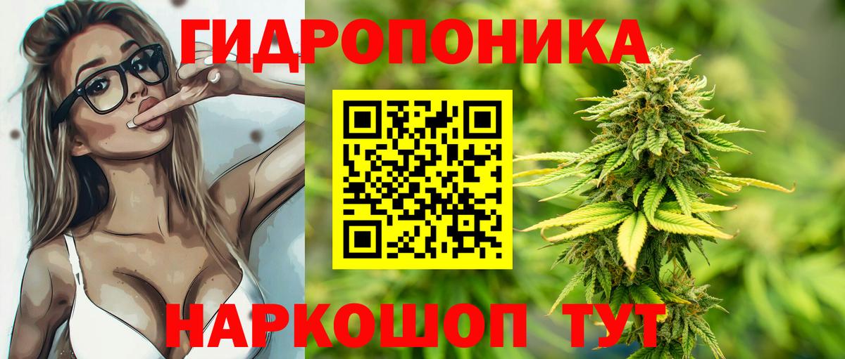 Шишки марихуана Bruce Banner Гатчина
