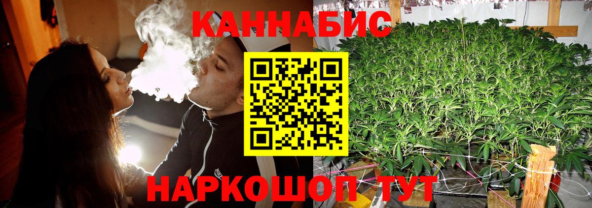 Каннабис семена  Бошки Шишки Amnesia  Шишки марихуана тримм  Гатчина  Каннабис SATIVA & INDICA  Вход с VPN 
